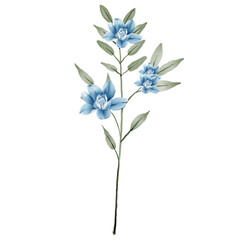 Blue watercolor individual flower