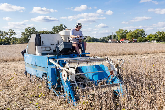 A man driving a small combine harvesting a soybean test plot on a sunny day.