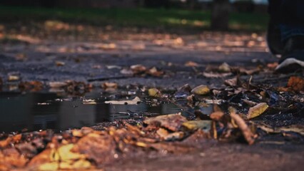 Man s leg in a crossbar enters a dirty puddle with autumn leaves. Autumn rains and slush on the street. A man smears shoes, entering the mud with his foot. - Powered by Adobe
