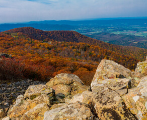 Fall Color on Stony Man Mountain, Shenandoah National Park, Virginia, USA