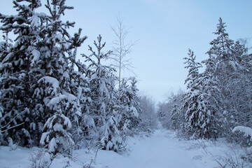 cold, winter, yakutia, a lot of snow