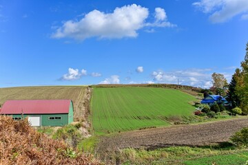 収穫を終えた美瑛の丘の秋の情景＠北海道