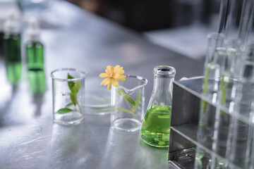 pharmaceutical science laboratory of health care cosmetic research, apothecary scientist working to test a organic herb drug of chemical medicine experiment with chemist doctor, beaker glasses tools