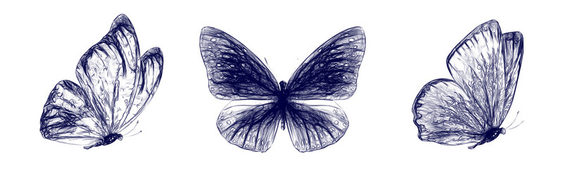 Set of butterflies drawn with a blue pen isolated on a white