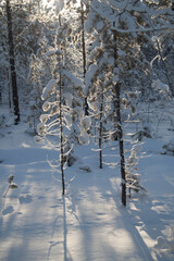 cold, winter, yakutia, a lot of snow