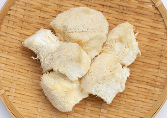 Fresh rare lion's mane mushroom