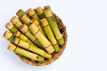 Sugar cane on white background.