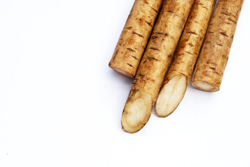 Burdock Root (Gobo) on white background.