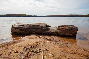 Log washed up along shore