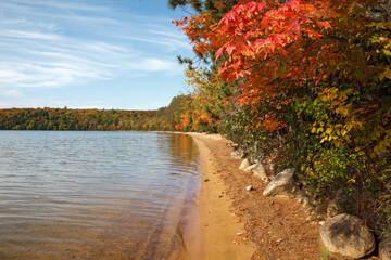 Lake shoreline in autumn with brightly coloured leaves on the trees