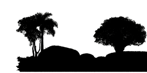 Silhouette tree brush design on transparent .background, illustrations brush brush from real tree with clipping path and alpha channel.