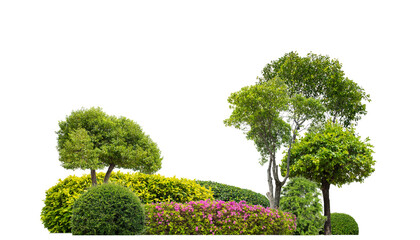 Colorful shrubs, ornamental plants, gardens or parks. isolated on .transparent background cut path