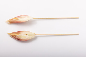 みょうが　串カツ