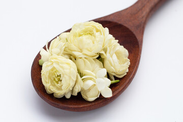 Jasmine flower on white background.