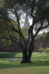 Obraz premium thailand, old city, ancient buildings