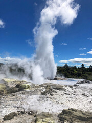 Rotorua geothermal hot spring geyser erupting and thermal mud pools., North Island, New Zealand