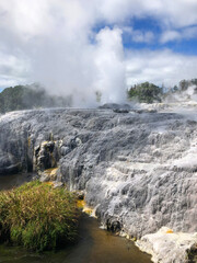 Rotorua geothermal hot spring geyser erupting and thermal mud pools., North Island, New Zealand