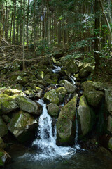 Clear stream flowing in the mountains