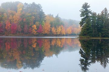 Foggy trees in autumn color and a small island with pines reflect in the water of a northern Minnesota lake