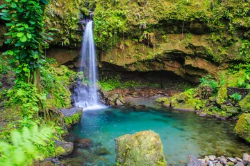 Fototapete Wasserfall Emerald Pool in the lush rain forest  is a beautiful jewel of Dominica in the Caribbean  © Juancat