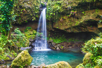 Emerald Pool in the lush rain forest is a beautiful jewel of Dominica in the Caribbean