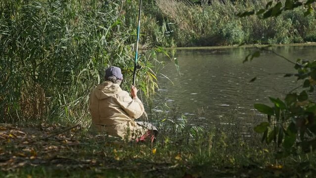 A lone elderly fisherman sitting on the river bank with a fishing rod catches fish. Back view of a fisherman on a sunny autumn day. Calm and peaceful picture. Lifestyle, leisure activity in nature