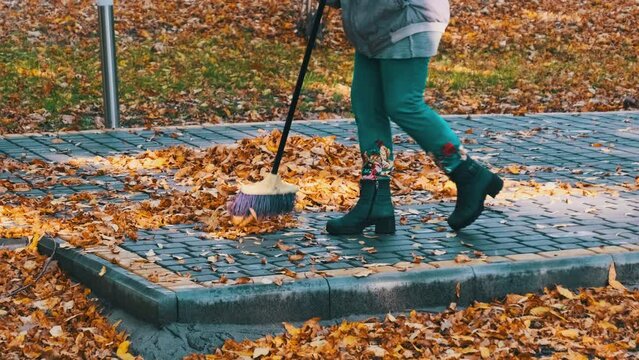 Utility worker sweeps fallen yellow leaves in the park. Janitor collects foliage. Human with broom sweeps leaves on paving stones in an autumn city park. Autumn cleaning territory in sunny weather