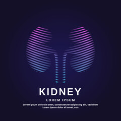 Human kidney medical structure. Vector logo kidney color silhouette on a dark background. Urology, kidney care vector design template - EPS 10
