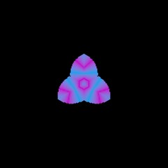 illustration of a seashell