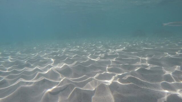 Clear underwater view with light reflections ripples on sandy bottom of the sea and fish passing by