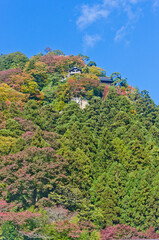 Fototapeta na wymiar Yamadera Mountain temple of Yamagata, Japan.