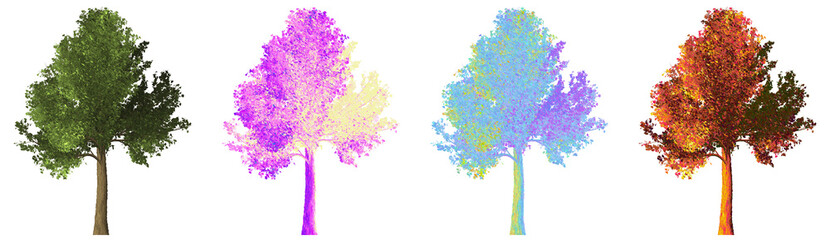Set of colorful ginkgo trees. png format.