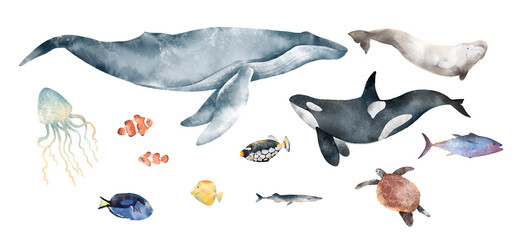 Watercolor hand drawn sea set. Colorful illustration of ocean mammals animals, coral reef fish. Humpback blue whale, killer whale, orca, beluga. Wildlife marine elements isolated on white background.