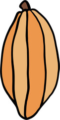 doodle freehand sketch drawing of cacao fruit.