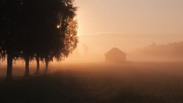 Amazing landscape shot on the border of Russia and Ukraine, peaceful morning mist