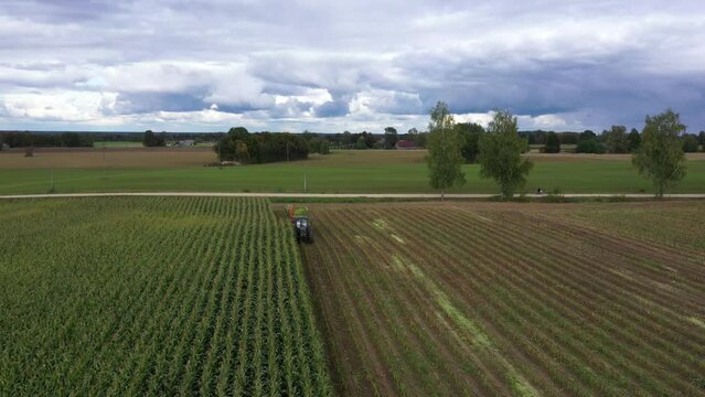 Country lifestyle harvesting cornfields for biomass silage, passerby on roads