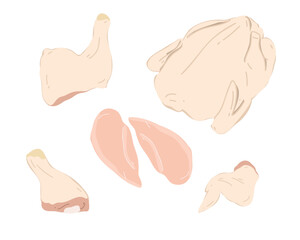 Set of fresh chicken carcass, thigh, leg, wing and fillet on a white background. Flat vector illustration