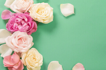 beautiful roses on green paper background