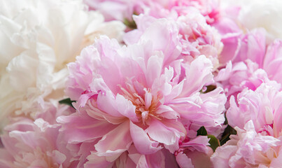 Bouquet of a lot of peonies of pink color close up