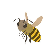 ちょっとリアルによせた蜜蜂のイラスト