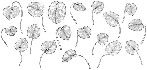 Tropical leaves isolated on white. Hand drawn png illustration.