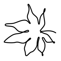 continuous one line illustration of maple autumn tree leaf in minimal design