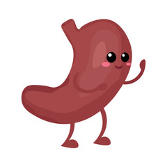 Cute human stomach on white background