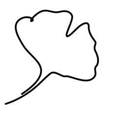 continuous one line illustration of ginkgo autumn tree leaf in png minimal design decoration 