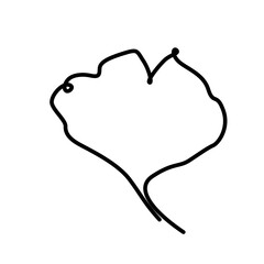 continuous one line illustration of ginkgo autumn tree leaf in png minimal design decoration 