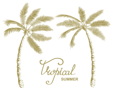 Poster on a beach summer theme. Two palm trees are tilted towards each other. Hand drawn text Tropical summer. Palm tree silhouette, outline drawing. Hawaiian pattern, vector illustration. Flyer, ad