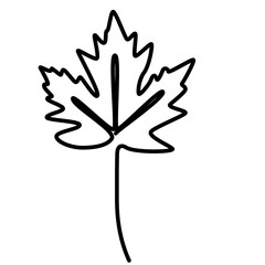Obraz premium continuous one line illustration of maple autumn tree leaf with minimal png design