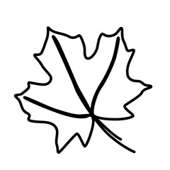 continuous one line illustration of maple autumn tree leaf with minimal png design