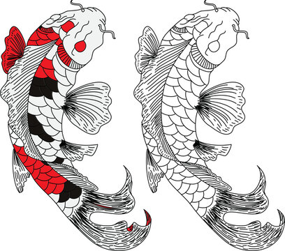 Hand drawn line art of fish (Koi carp). Vector isolated. Idea for tattoo and coloring books.