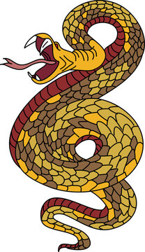 Outline of snake vector. Hand drawn cobra isolate on white background.
